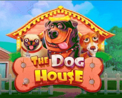 play the dog house in Realz Casino